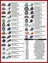 GM LT Gen V Mass Air Flow MAF 8-Wire Sensor Pigtail Connector Wiring