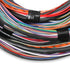 HOLLEY EFI UNTERMINATED 15' FLYING LEAD MAIN HARNESS - ICT Billet HLY - 558 - 126